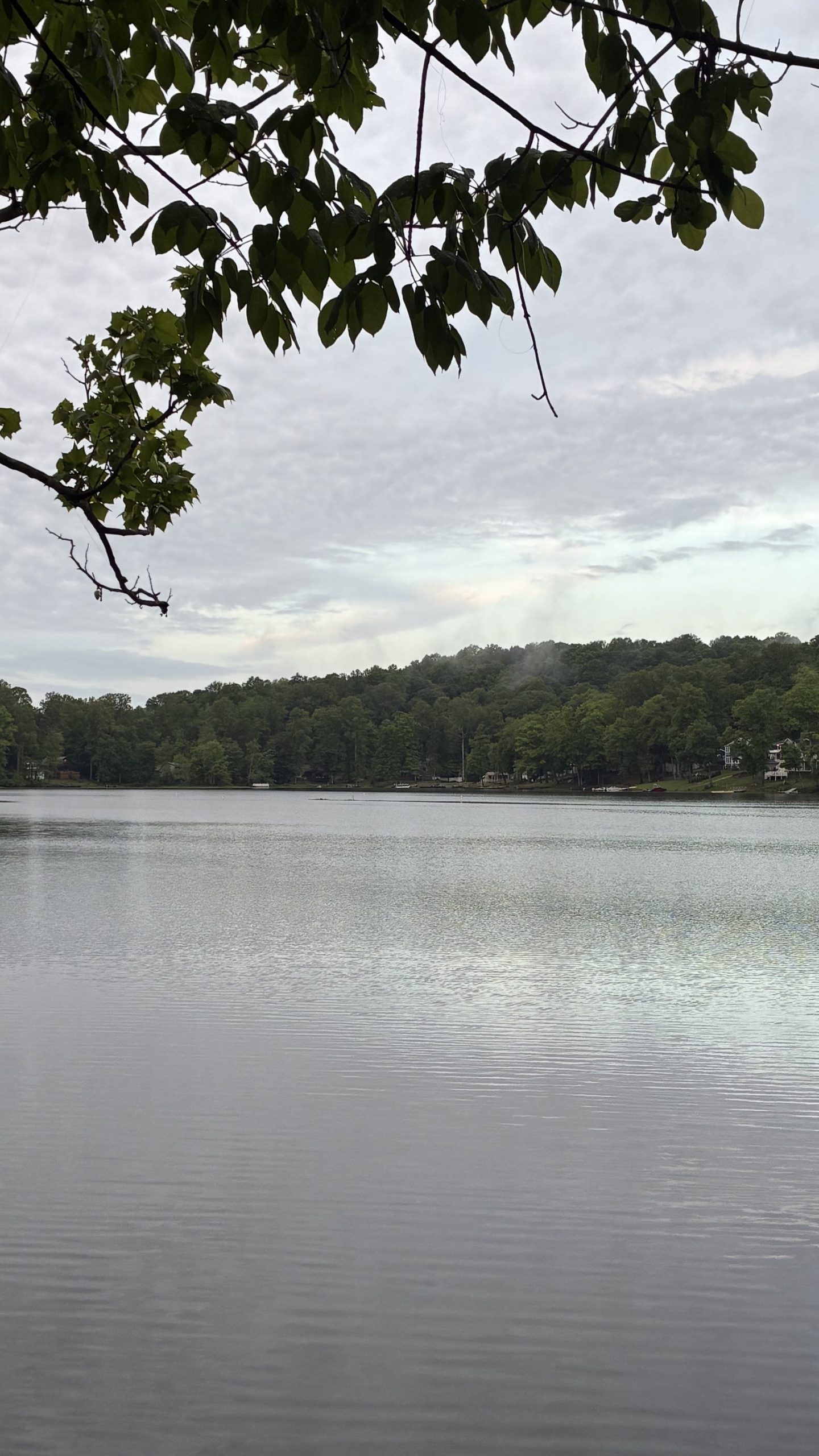 Lake Malone Fishing and Recreation