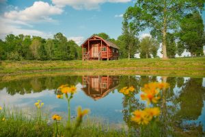 Pond with Cabin 2Good Wild Foot RV Park