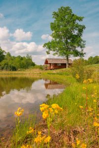 Cabin on Pond with wild flowers