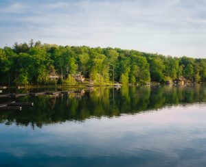 Lake Malone View with trees